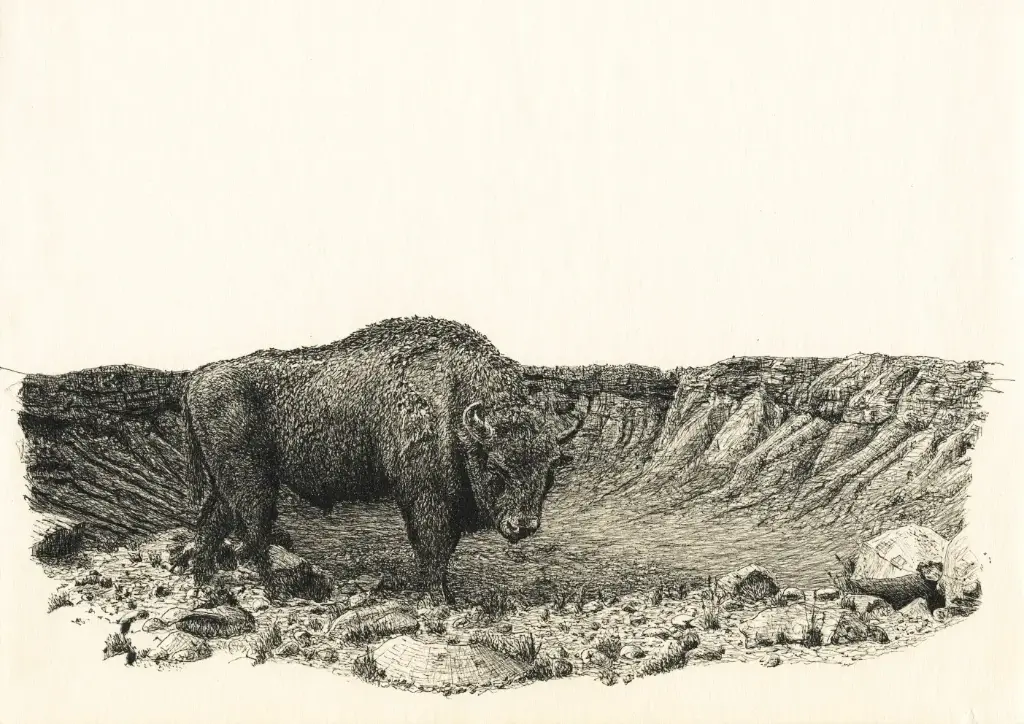 The Bull and the Crater